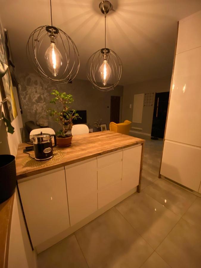 Apartament Centrum- Art&Design 科宁 外观 照片